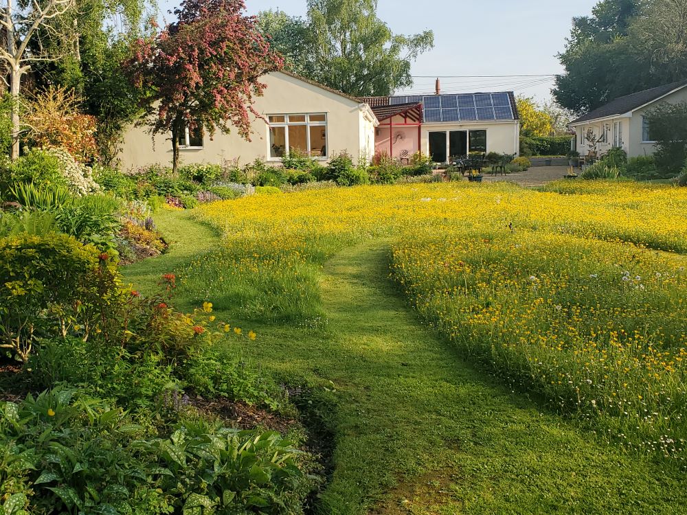 This Year, Consider “No Mow May”